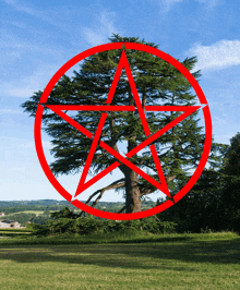 a tree in a red circle with a star in the center