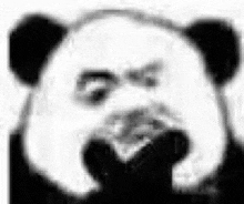 a panda bear is covering its mouth with its hand and making a funny face .