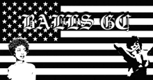 a black and white american flag with the words bails go written on it