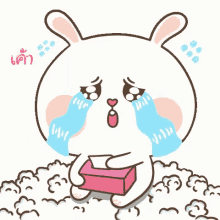 a cartoon rabbit is crying while holding a pink box