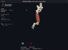 a computer screen shows a skeleton with a knee extension