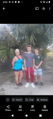 a phone screen shows a picture of a woman and two boys standing in front of a palm tree