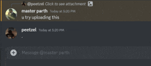 a screenshot of a chat with peetzel and master parth