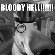 a cat wearing a top hat , glasses , and a watch is making a funny face .