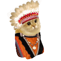 a cat wearing a headdress and a necklace