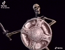 a skeleton is holding a shield and a sword in a video .