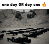 a black and white photo of soldiers doing push ups with the words one day or day one