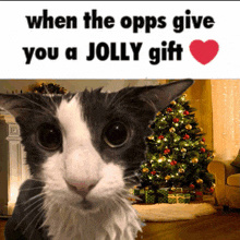 a black and white cat standing in front of a christmas tree with the caption when the opps give you a jolly gift