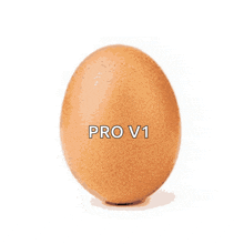 a brown egg with the words pro v1 written on it