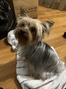 a small dog is sitting on a towel next to a box that says do not drop