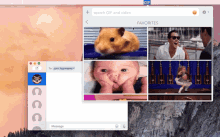 a screenshot of a computer screen shows a hamster a baby a man and a woman