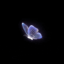 a butterfly is flying in the dark on a black background