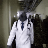 a man dressed as a doctor with a pigeon head is walking down a hallway .