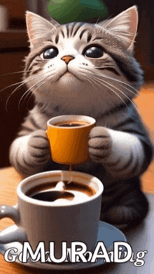 a cat is holding a cup of coffee and pouring it into it