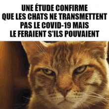 a close up of a cat 's face with a caption in french that says une etude confirme