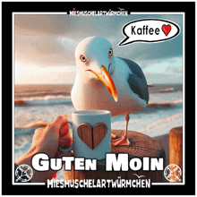 a seagull is standing next to a person holding a cup of coffee