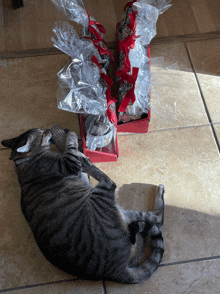 a cat laying on a tiled floor next to a stack of wrapped presents