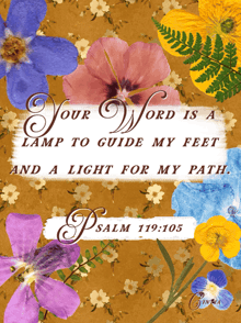 a picture of flowers with a bible verse from psalm 119-105