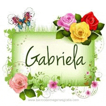 the name gabriela is surrounded by flowers and leaves .