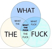 a diagram of what the fuck and what the fuck