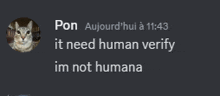 a picture of a cat with the words " it need human verify im not humana "