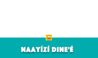 a blue banner with the word naayizi dine 'e on it