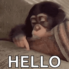 a chimpanzee is laying on a bed and pointing at the word hello .
