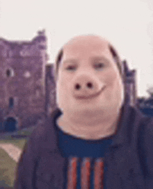 a man with a pig 's face is smiling in front of a castle .