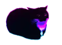 a black cat is sitting on a white background with a green outline