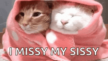 two cats are wrapped in a pink blanket .