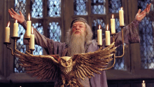 a man with a beard is standing in front of a statue of an owl and candles