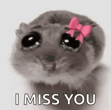 a hamster with a pink bow on its head is crying .