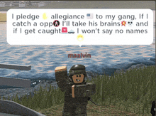 a soldier in a video game with a message that says i pledge allegiance to my gang