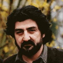 a man with a beard and curly hair looks at the camera with yellow flowers in the background