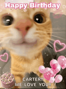 a birthday card with a cat and balloons that says carter we love you