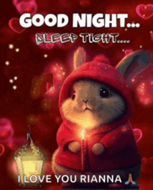 a rabbit in a red hoodie is holding a candle and says good night sleep tight .