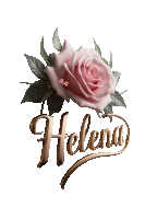 a picture of a pink rose with the name helena on it