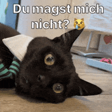 a black cat is laying on the floor with the words du magst mich nicht above it