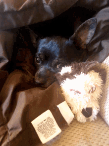 a black dog is laying next to a stuffed animal that has a label on it that says ' washing instructions '