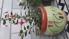 a plant in a green and red pot with the letter d on it