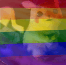 a rainbow colored background with a cat behind it