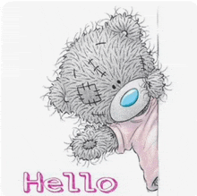 a drawing of a teddy bear with the word hello written on it