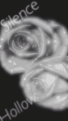 a drawing of a rose with the words silence and hollow