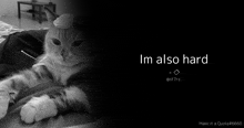 a black and white photo of a cat with the words " im also hard " below it