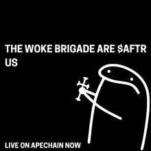 a poster that says the woke brigade are $aftr us live on apechain now