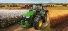 a green john deere tractor is driving through a cotton field .