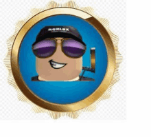 a roblox character wearing sunglasses and a hat is in a gold frame .