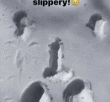 a black and white photo of a person 's feet with the words slippery written above them