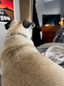 a dog looking over its shoulder in front of a sign that says son