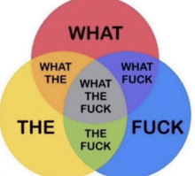 a diagram showing what the fuck and what the fuck in circles